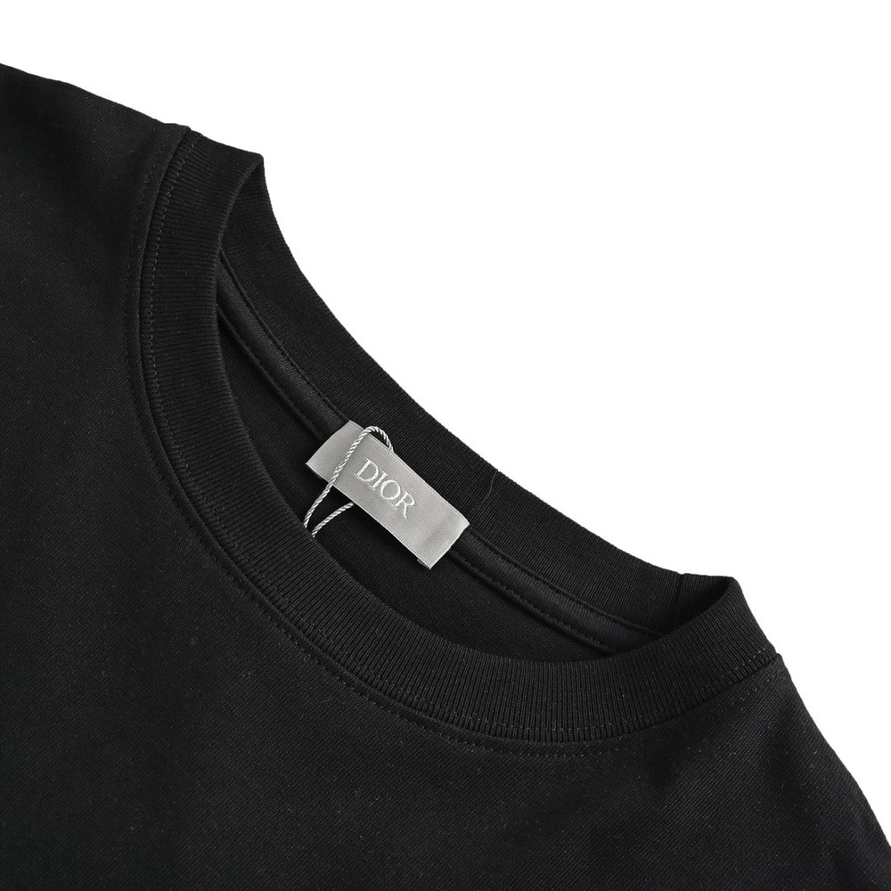 Dior T-shirts-301