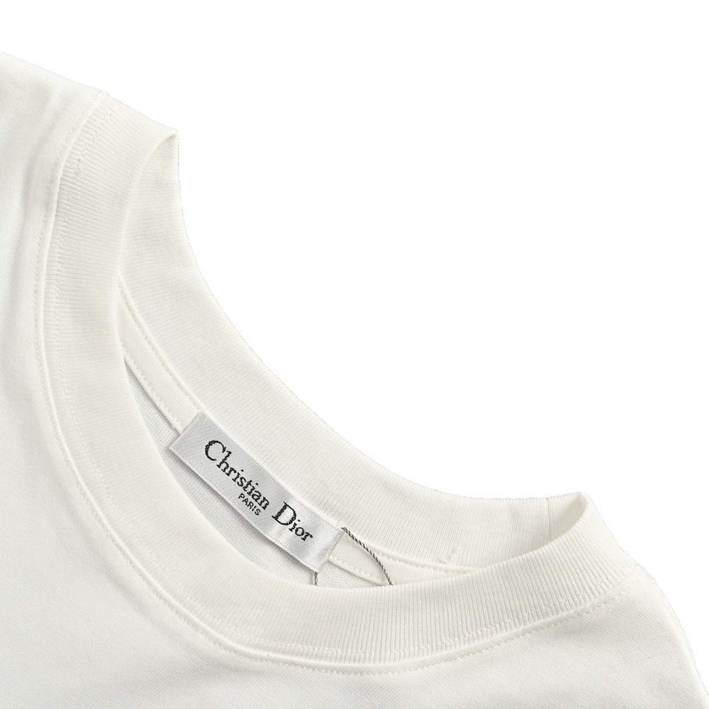 Dior T-shirts-303