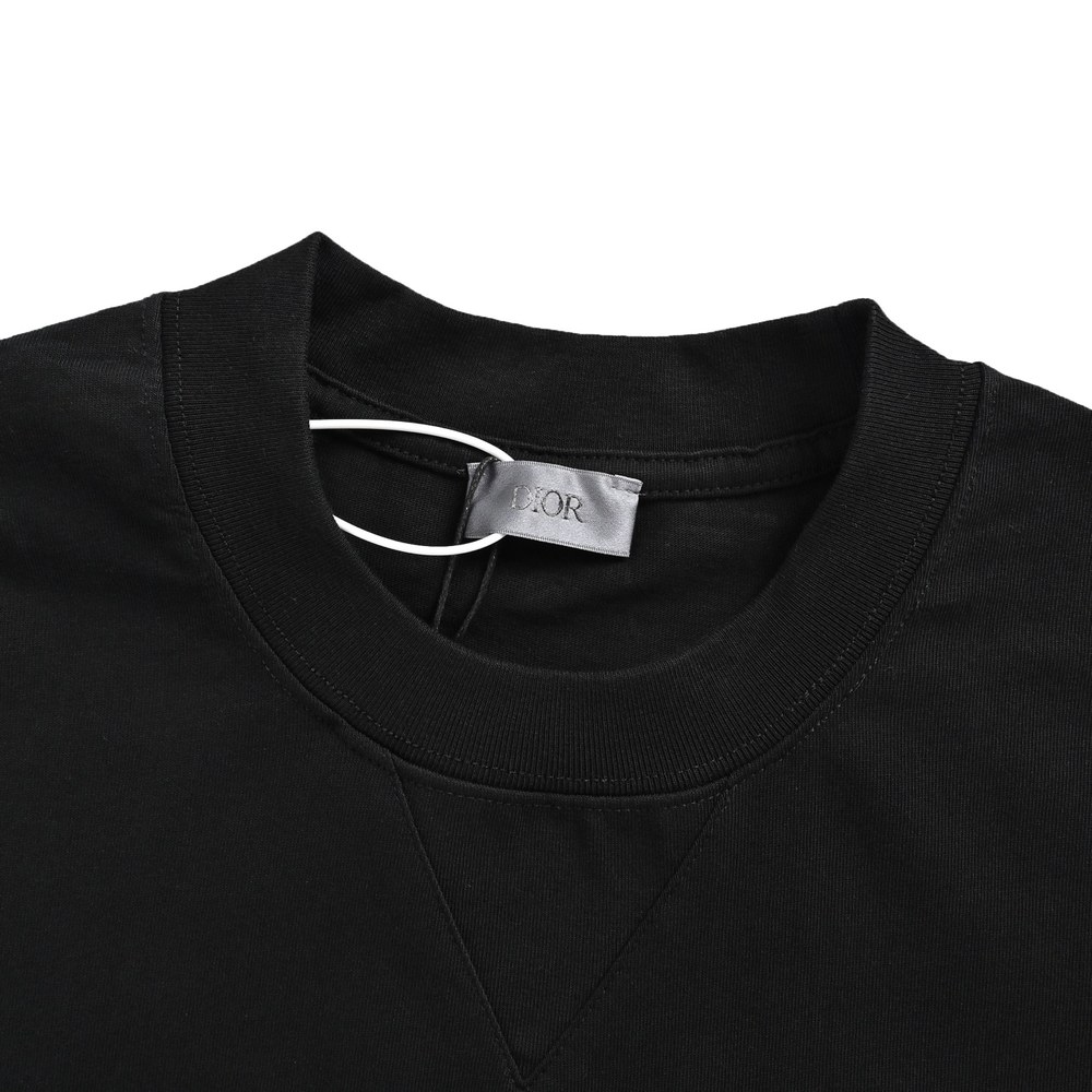 Dior T-shirts-413