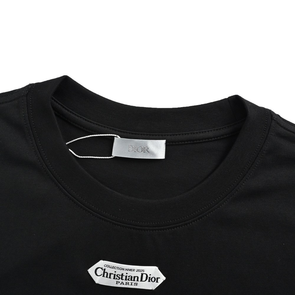Dior T-shirts-447