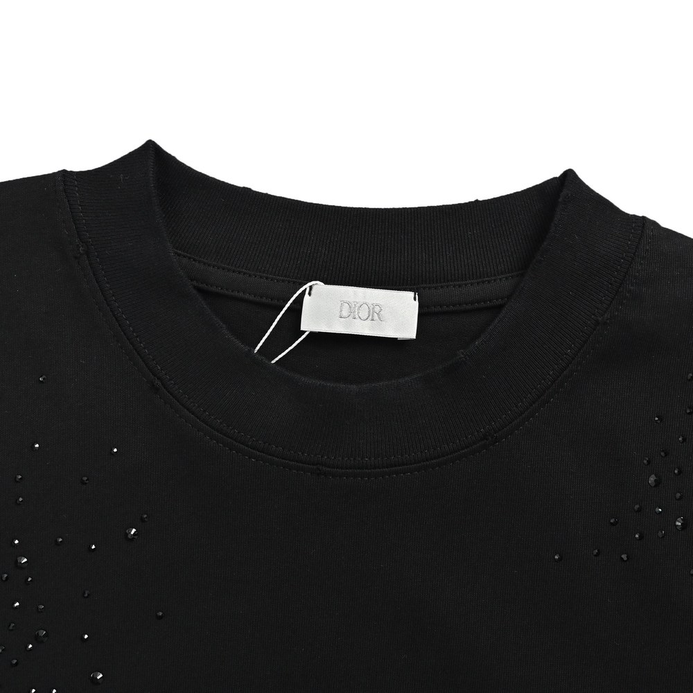 Dior T-shirts-441