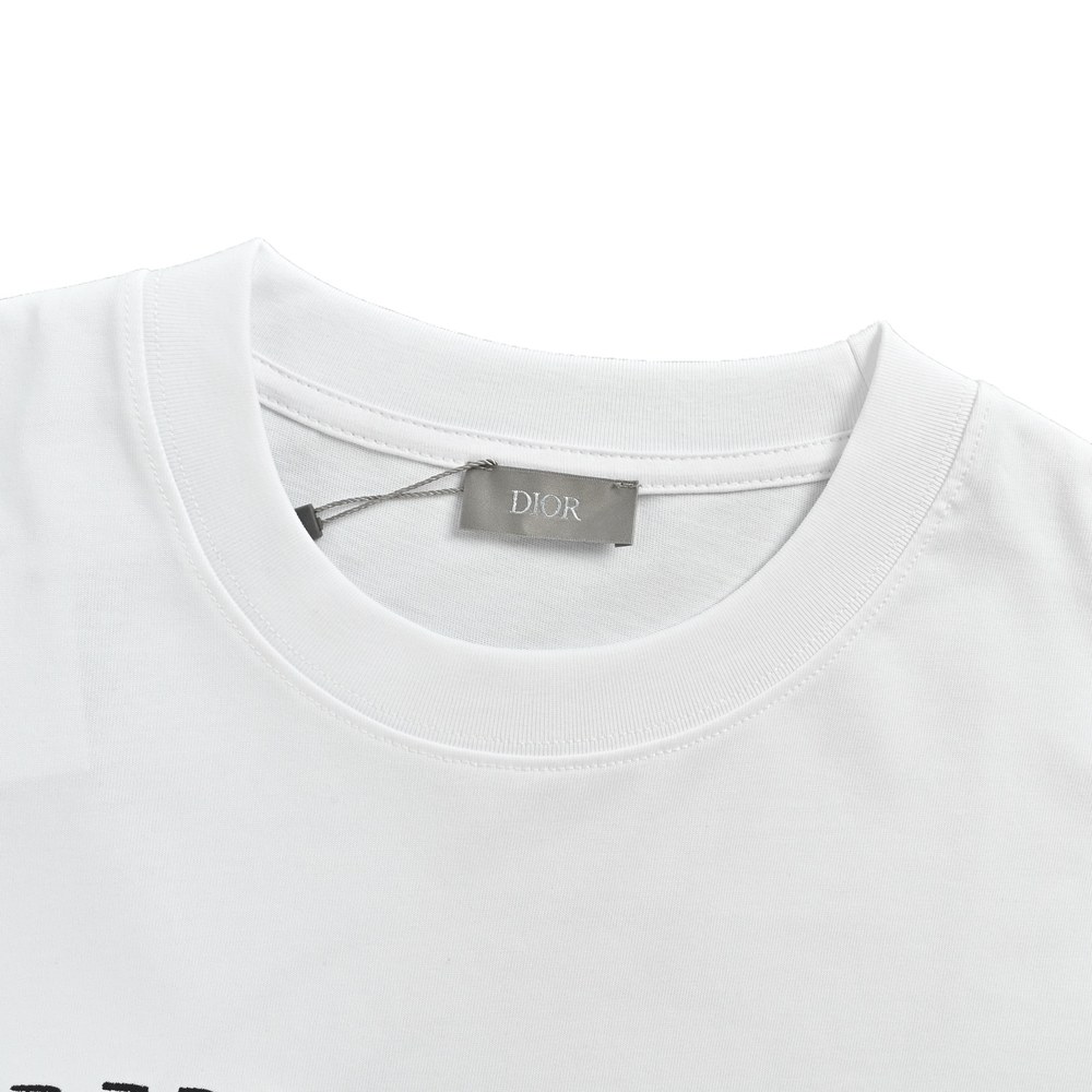 Dior T-shirts-343