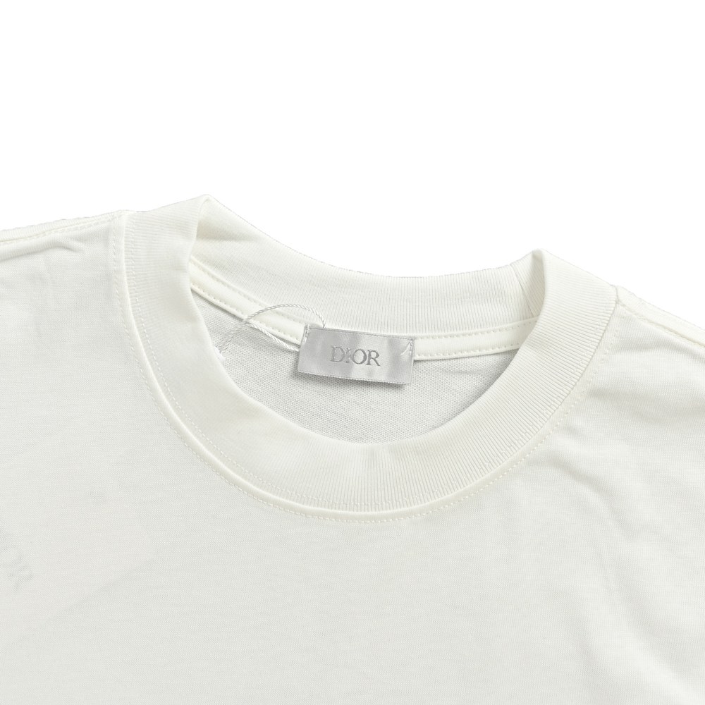 Dior T-shirts-508