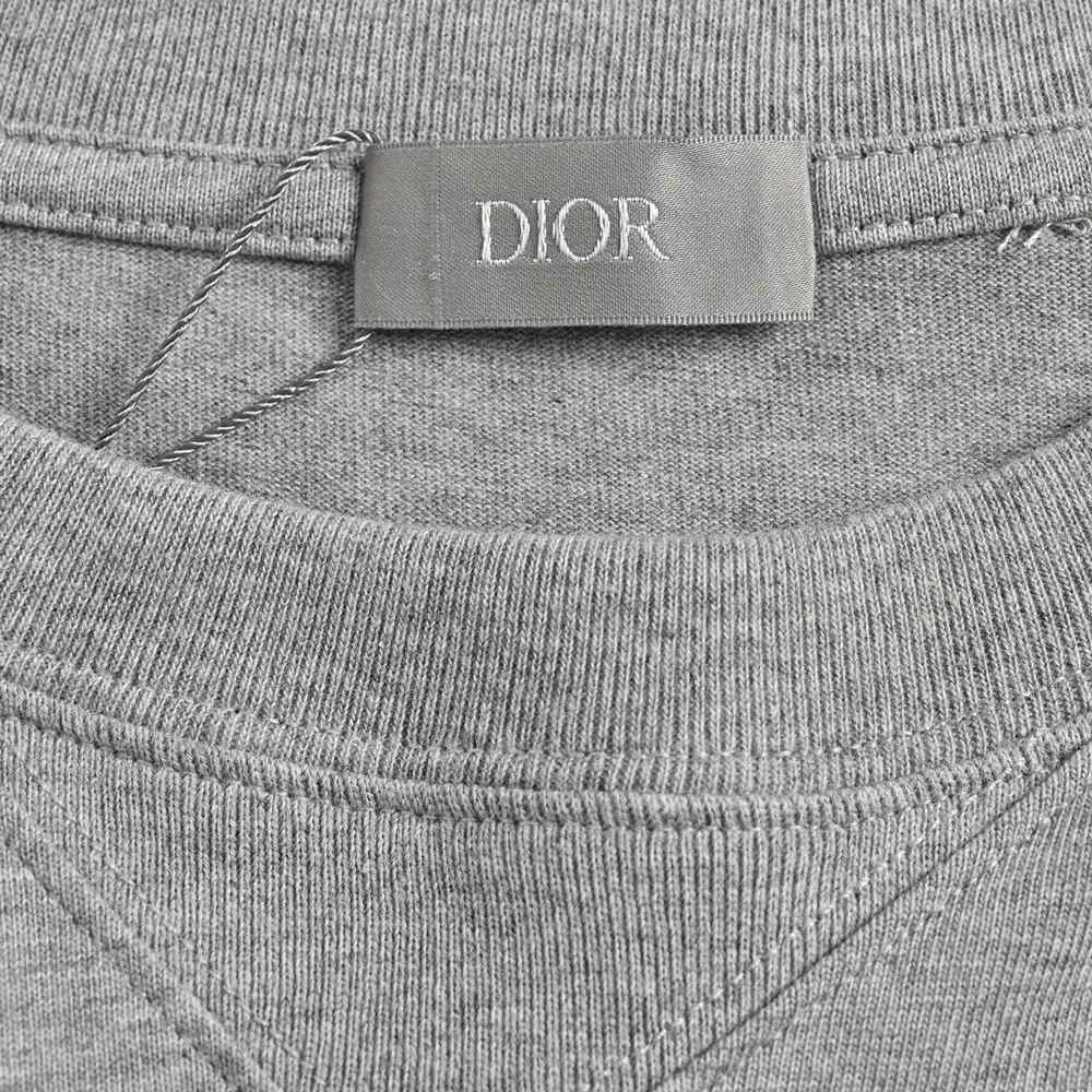 Dior T-shirts-300