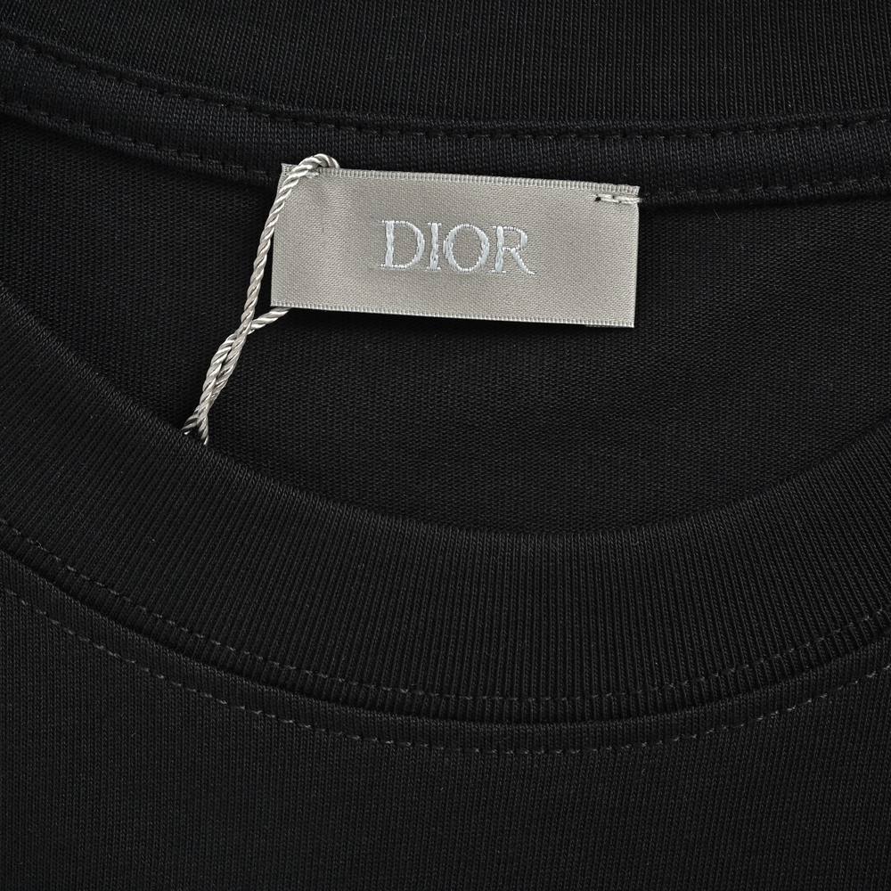 Dior T-shirts-396