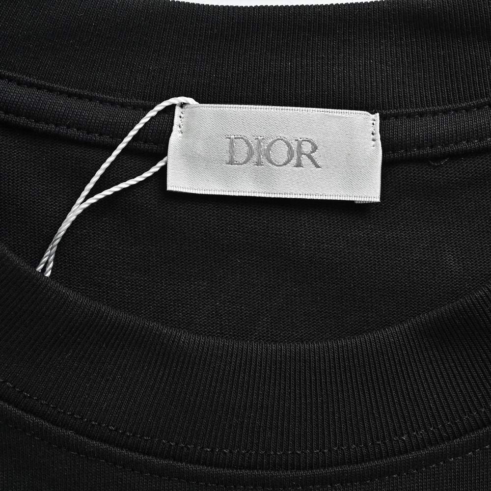 Dior T-shirts-489