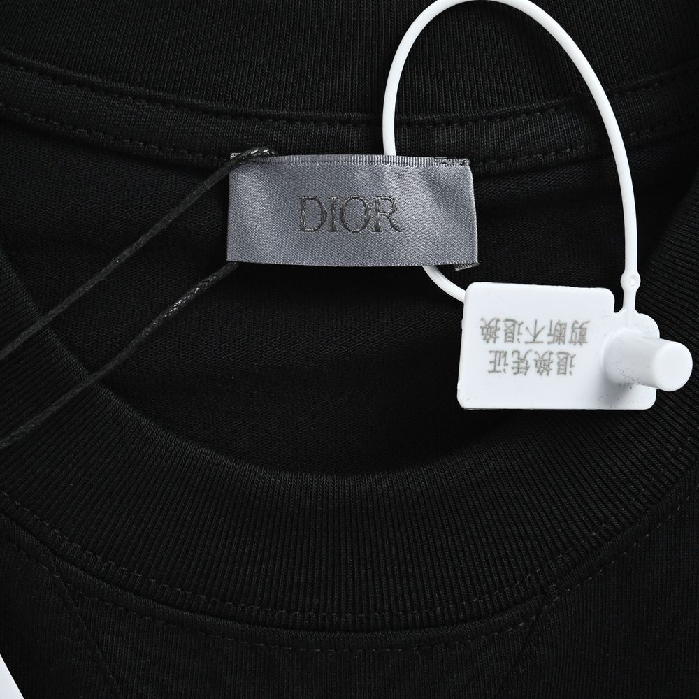 Dior T-shirts-411