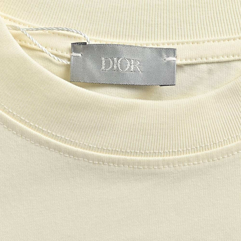 Dior T-shirts-493