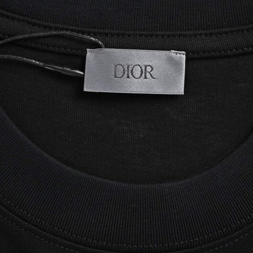 Dior T-shirts-364