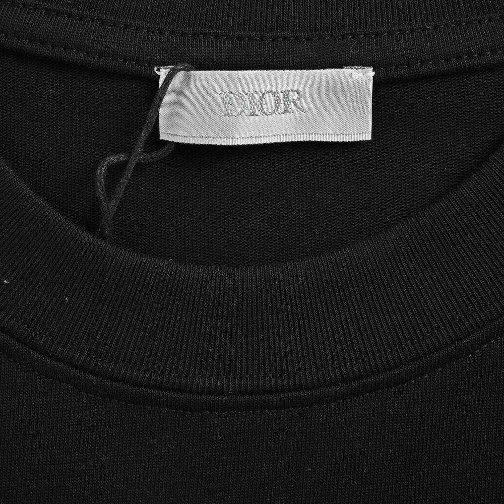 Dior T-shirts-344