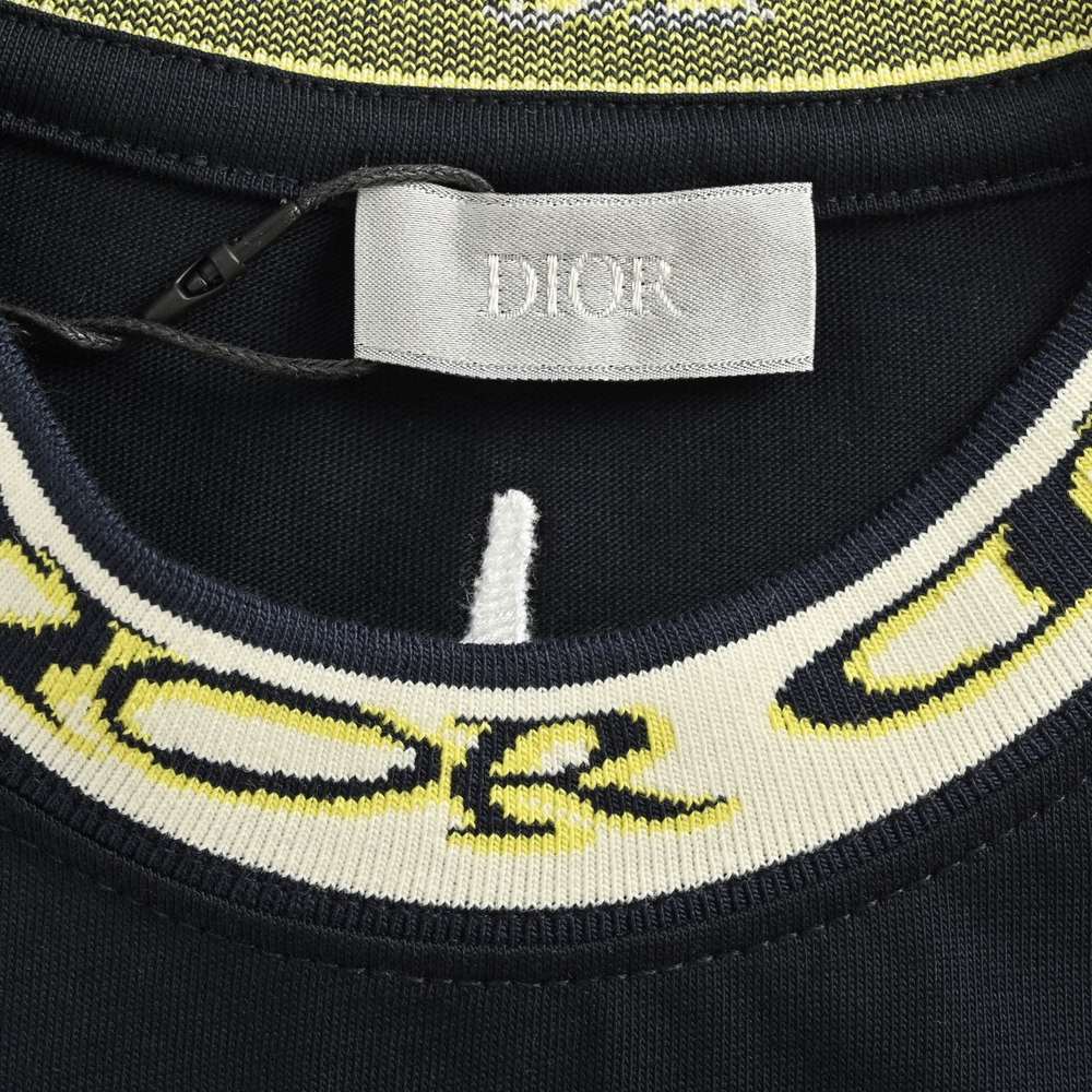 Dior T-shirts-317