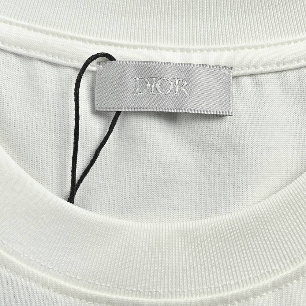 Dior T-shirts-393