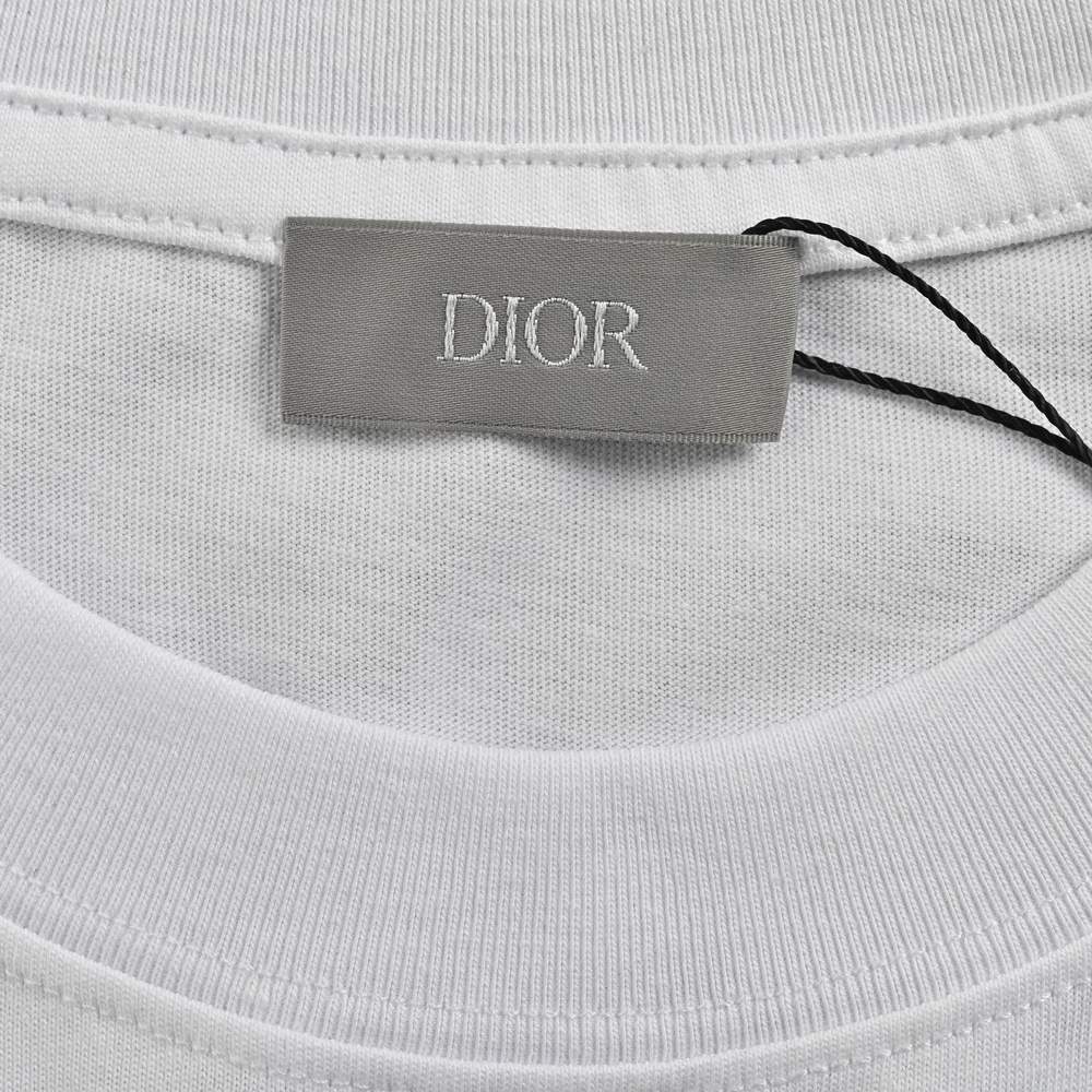 Dior T-shirts-310