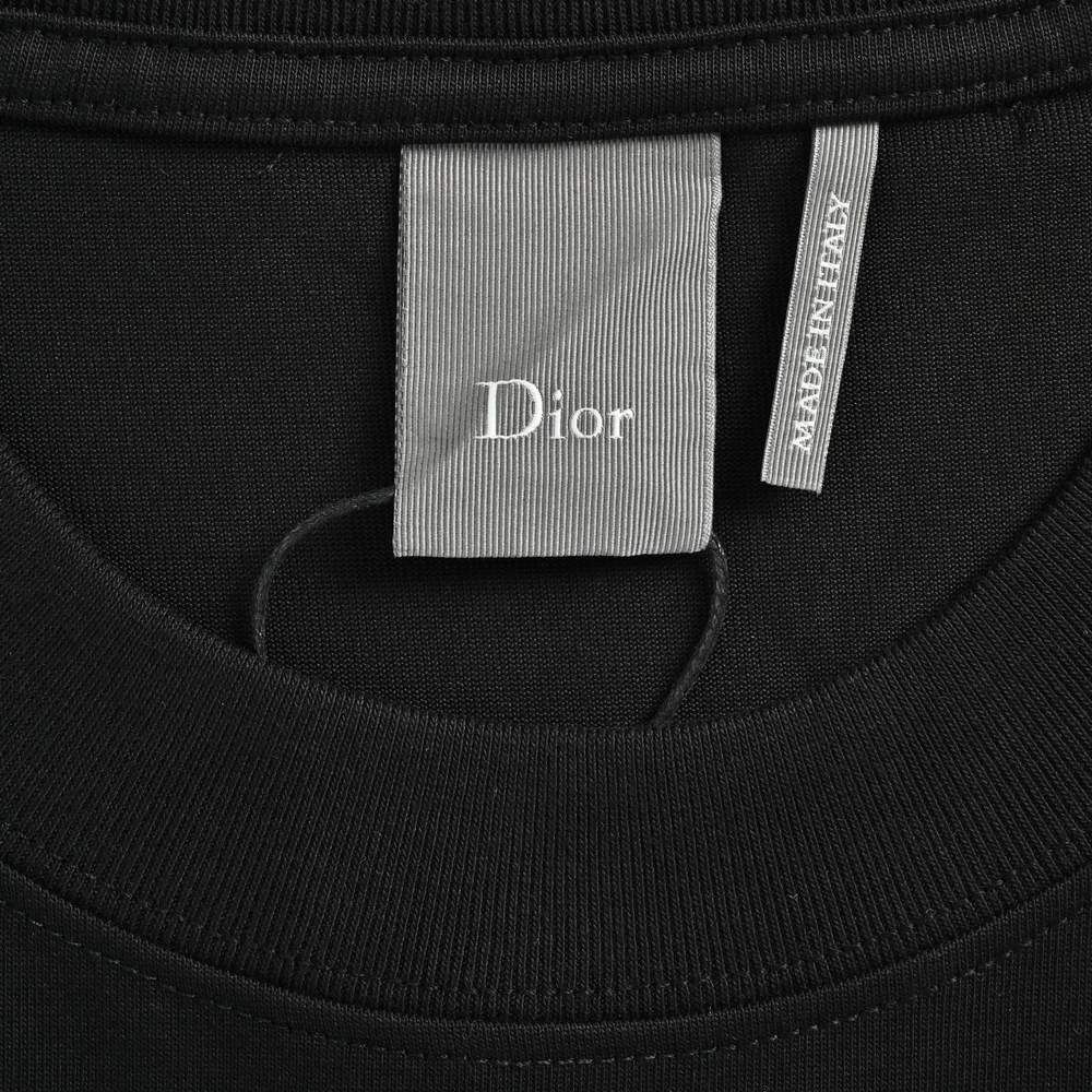 Dior T-shirts-379