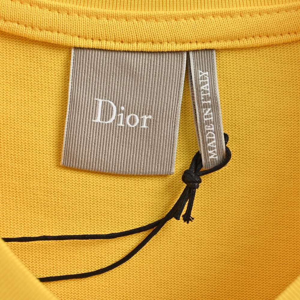 Dior T-shirts-432