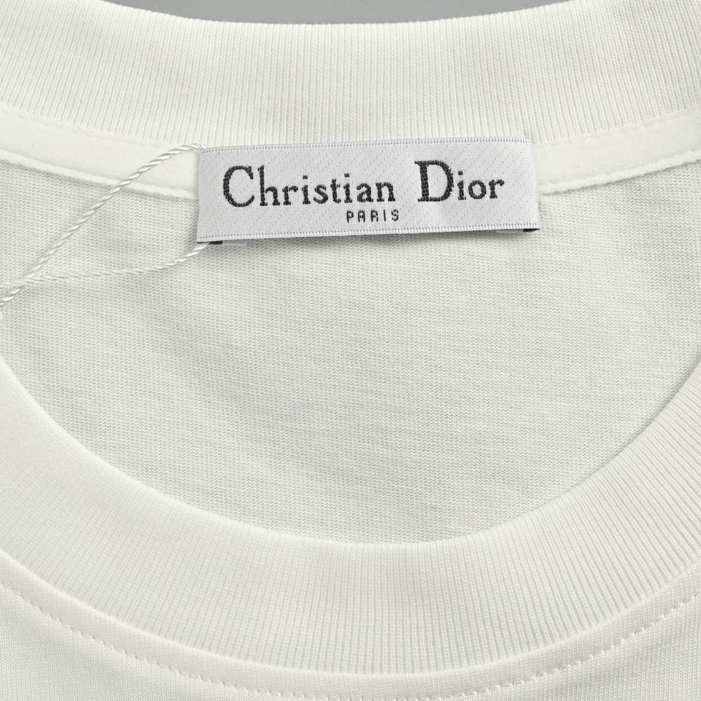 Dior T-shirts-309