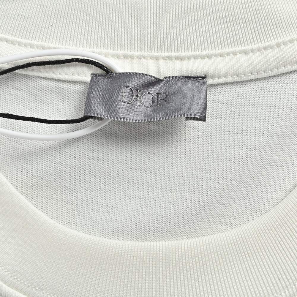 Dior T-shirts-376