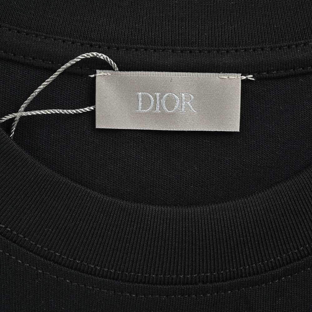 Dior T-shirts-348