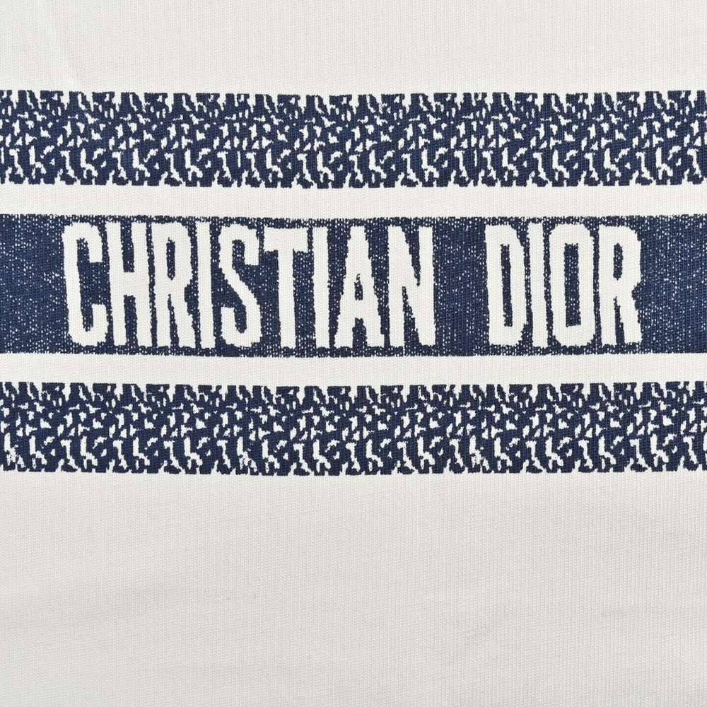 Dior T-shirts-304