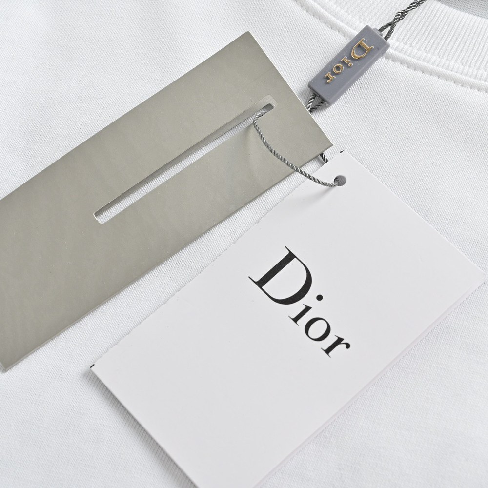 Dior T-shirts-302