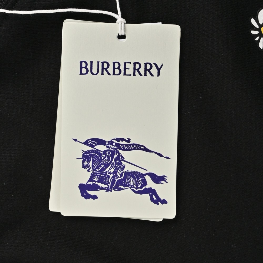 Burberry T-shirts-1294