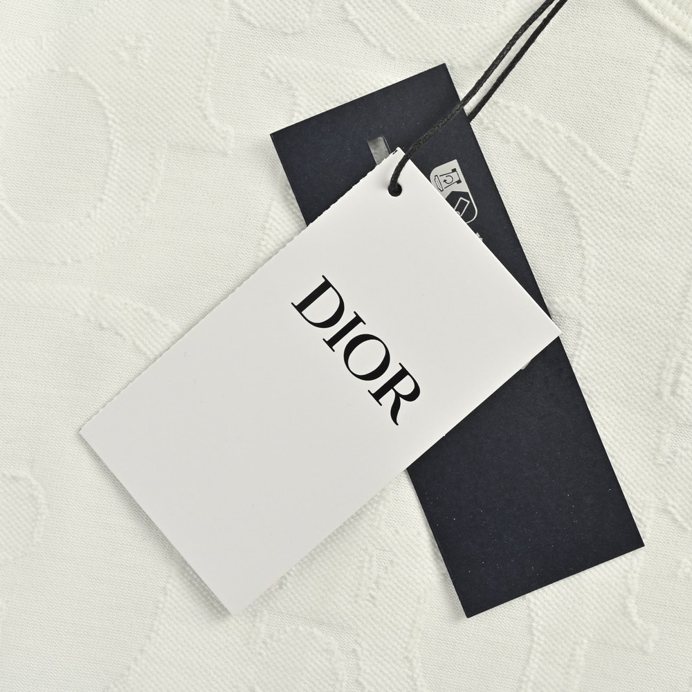 Dior T-shirts-424