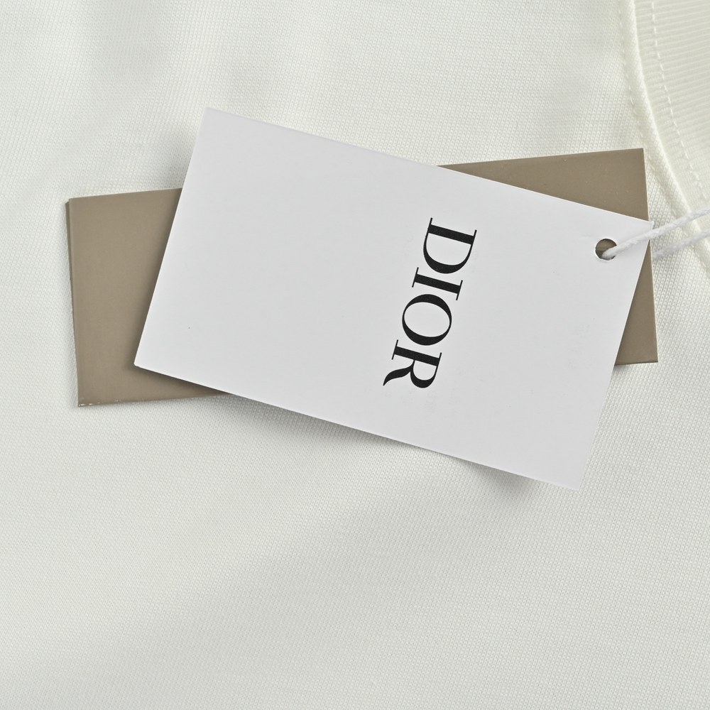 Dior T-shirts-404