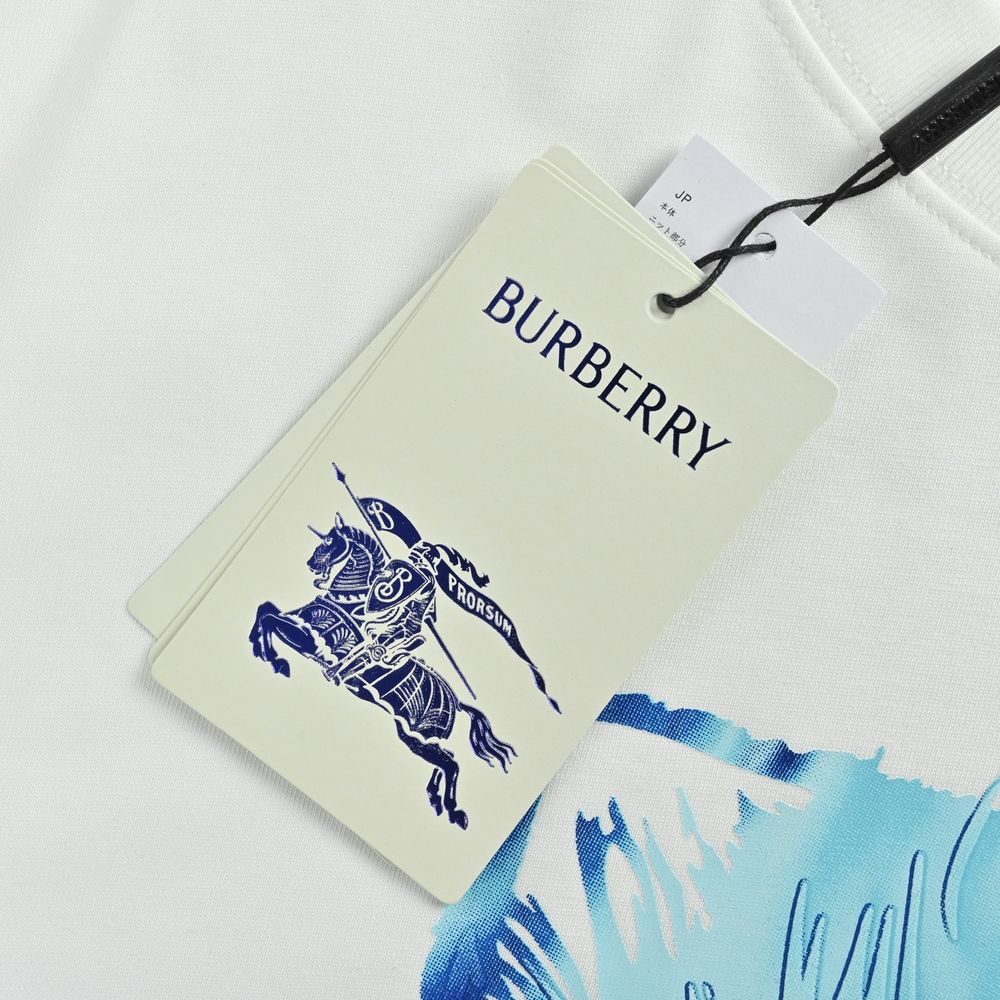 Burberry T-shirts-1326