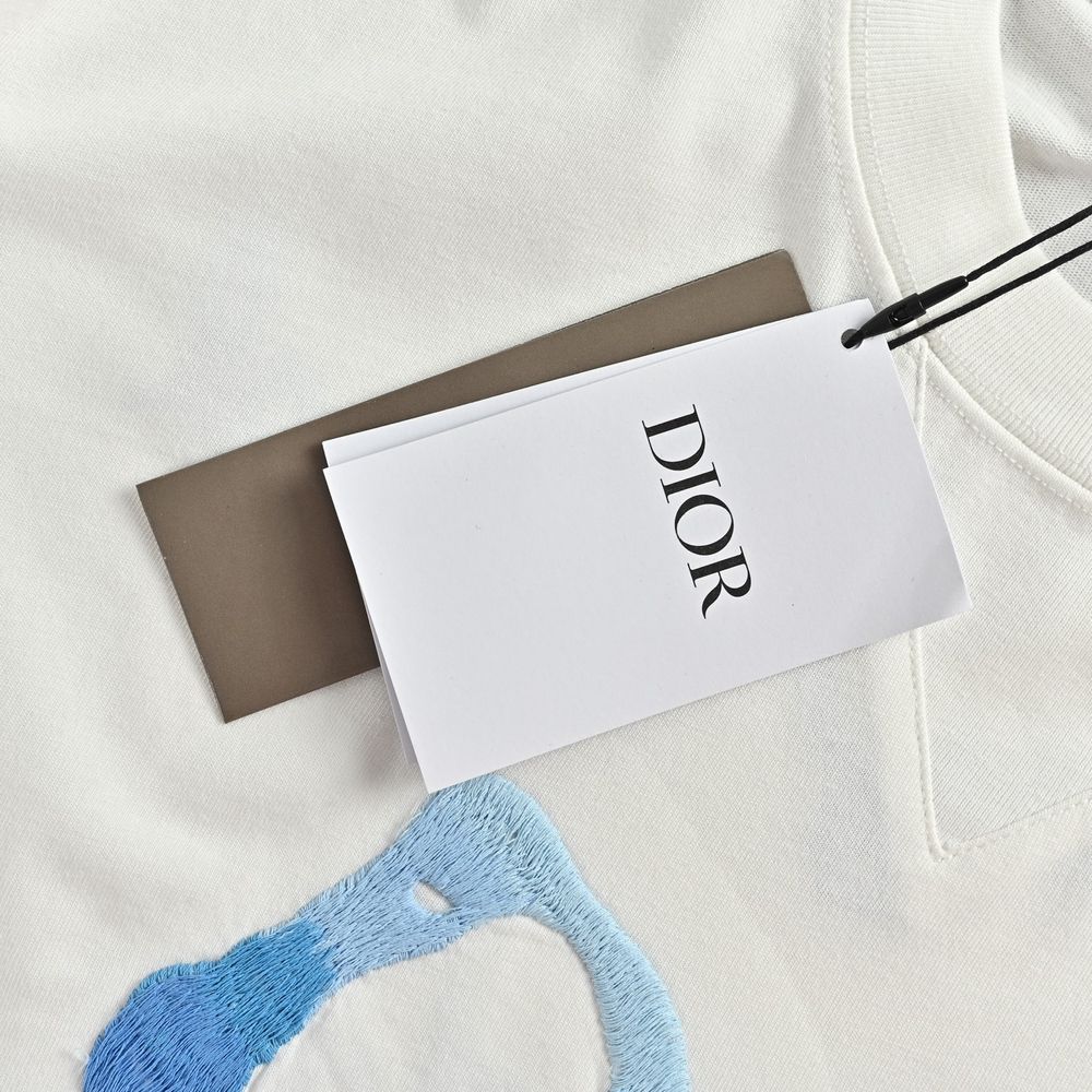 Dior T-shirts-385