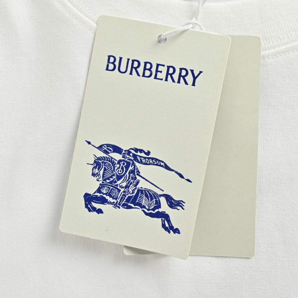 Burberry T-shirts-1289