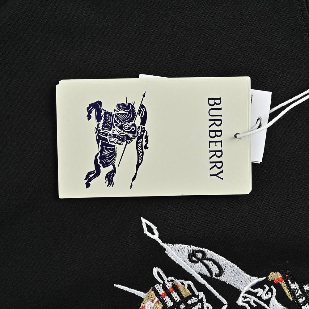 Burberry T-shirts-1307