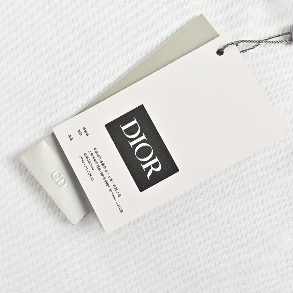 Dior T-shirts-307