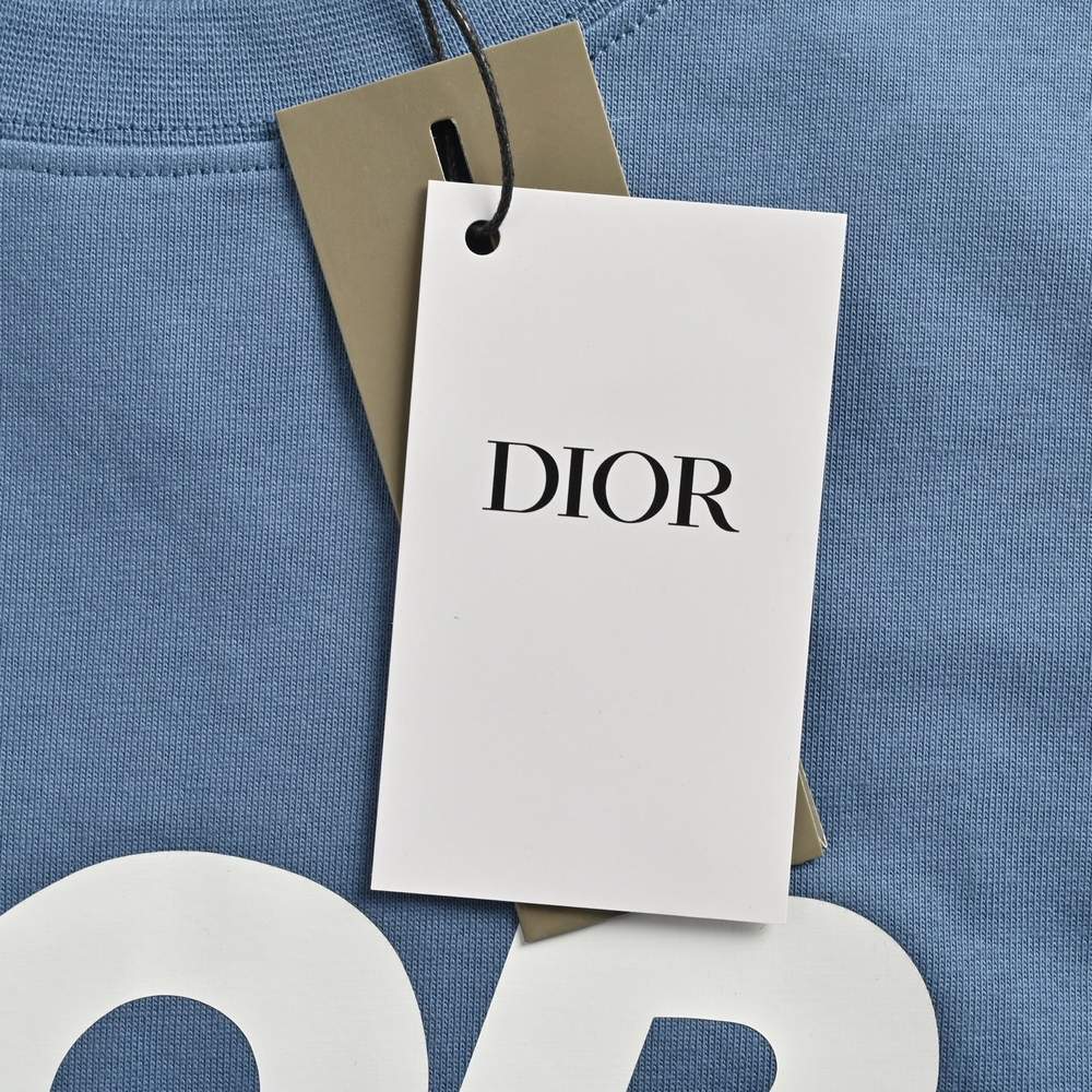 Dior T-shirts-420