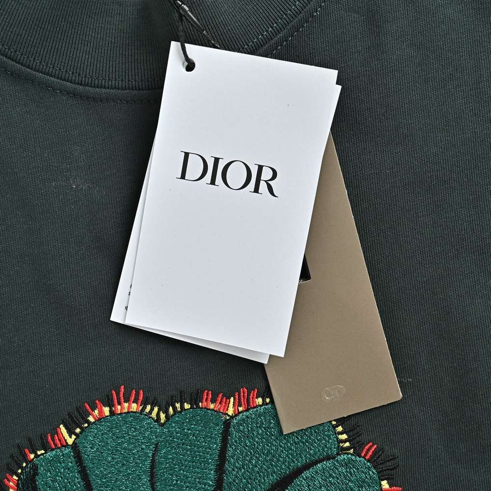 Dior T-shirts-436
