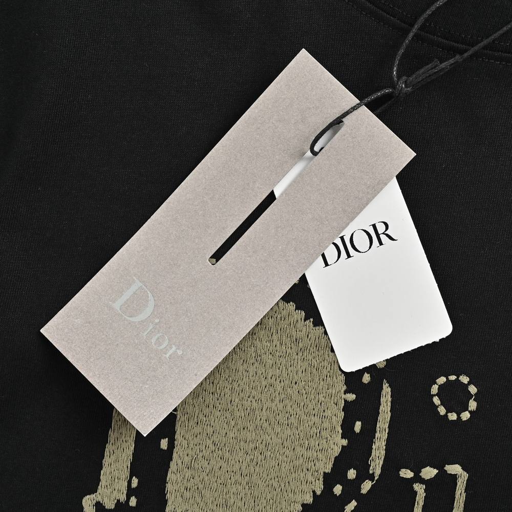 Dior T-shirts-338