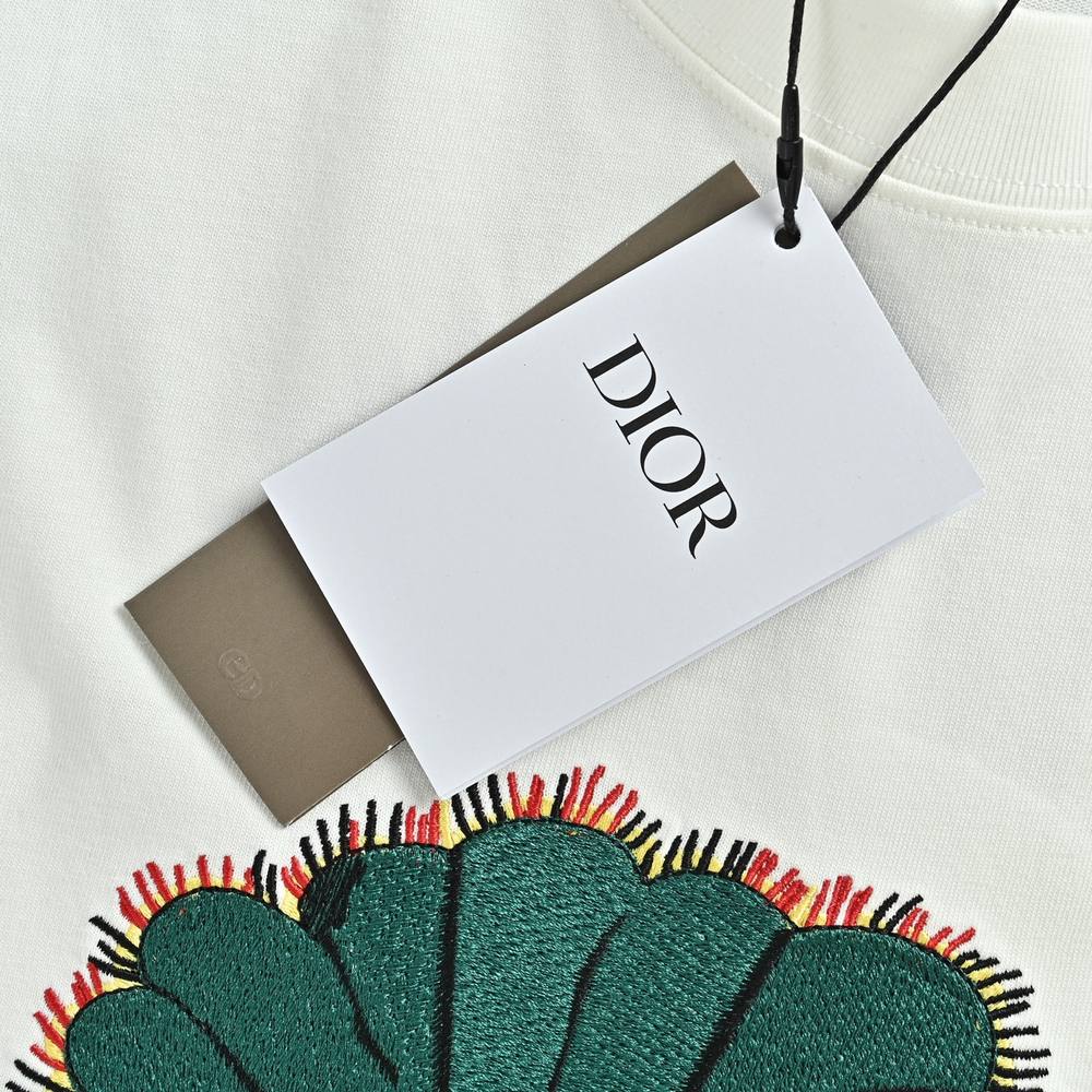Dior T-shirts-437