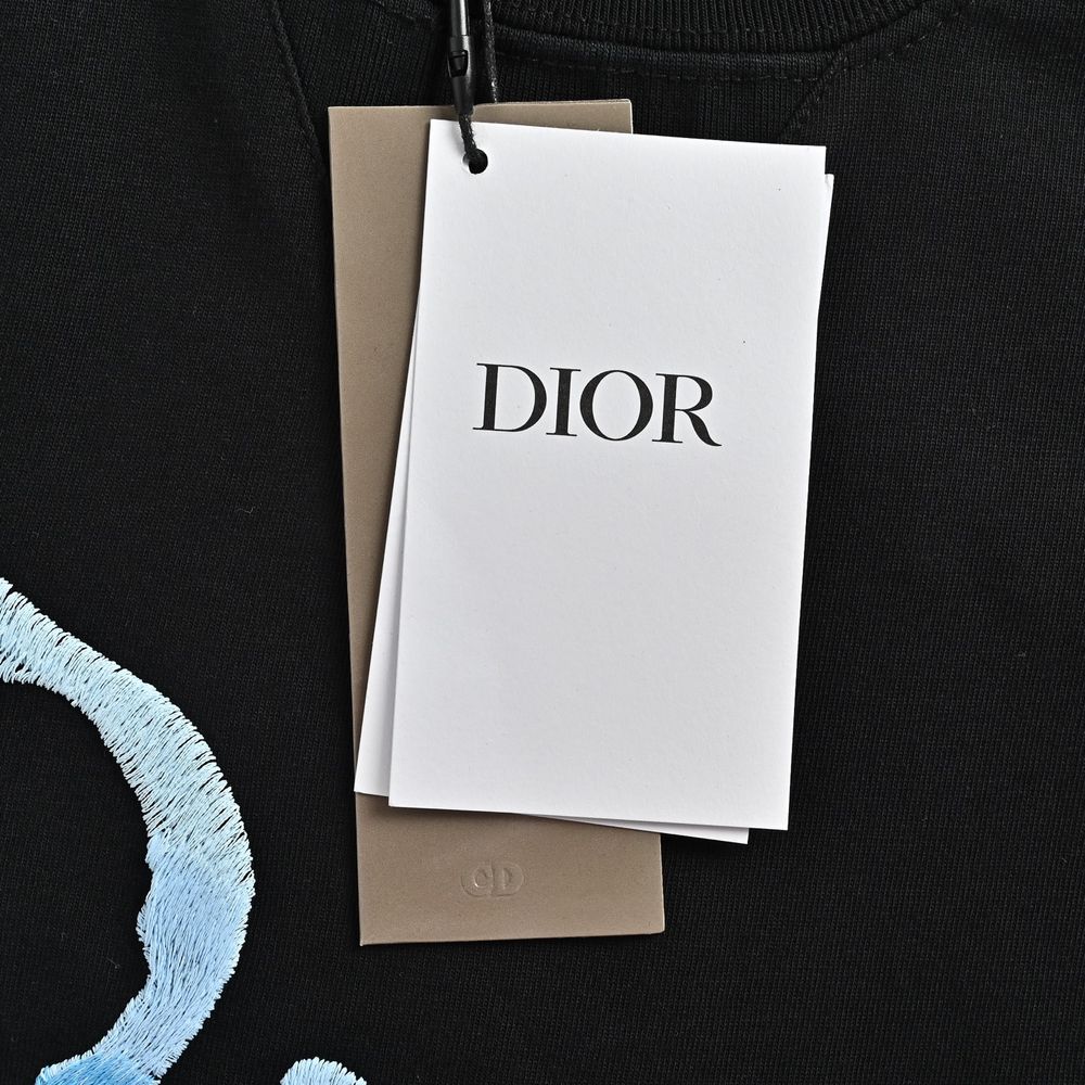 Dior T-shirts-384