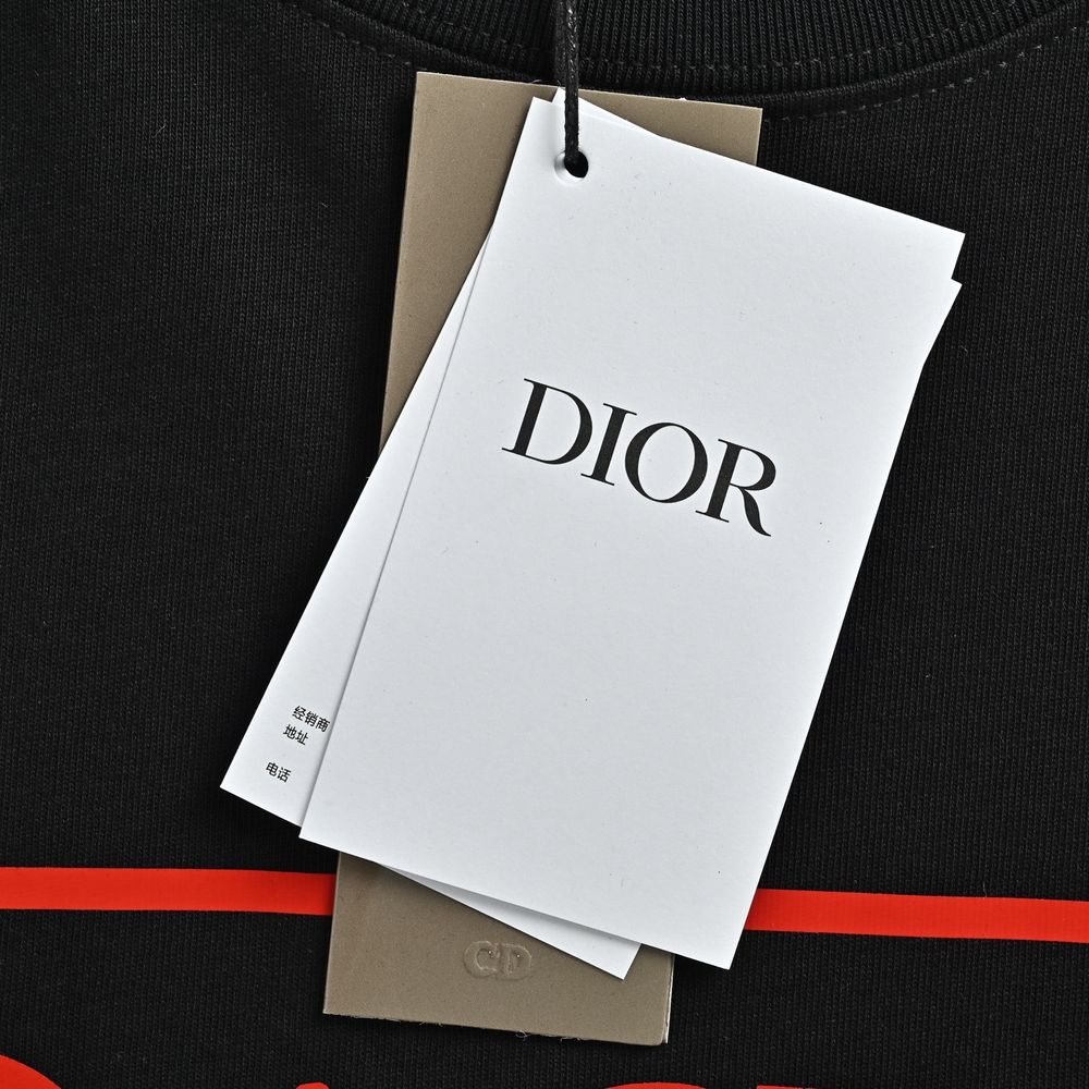 Dior T-shirts-364