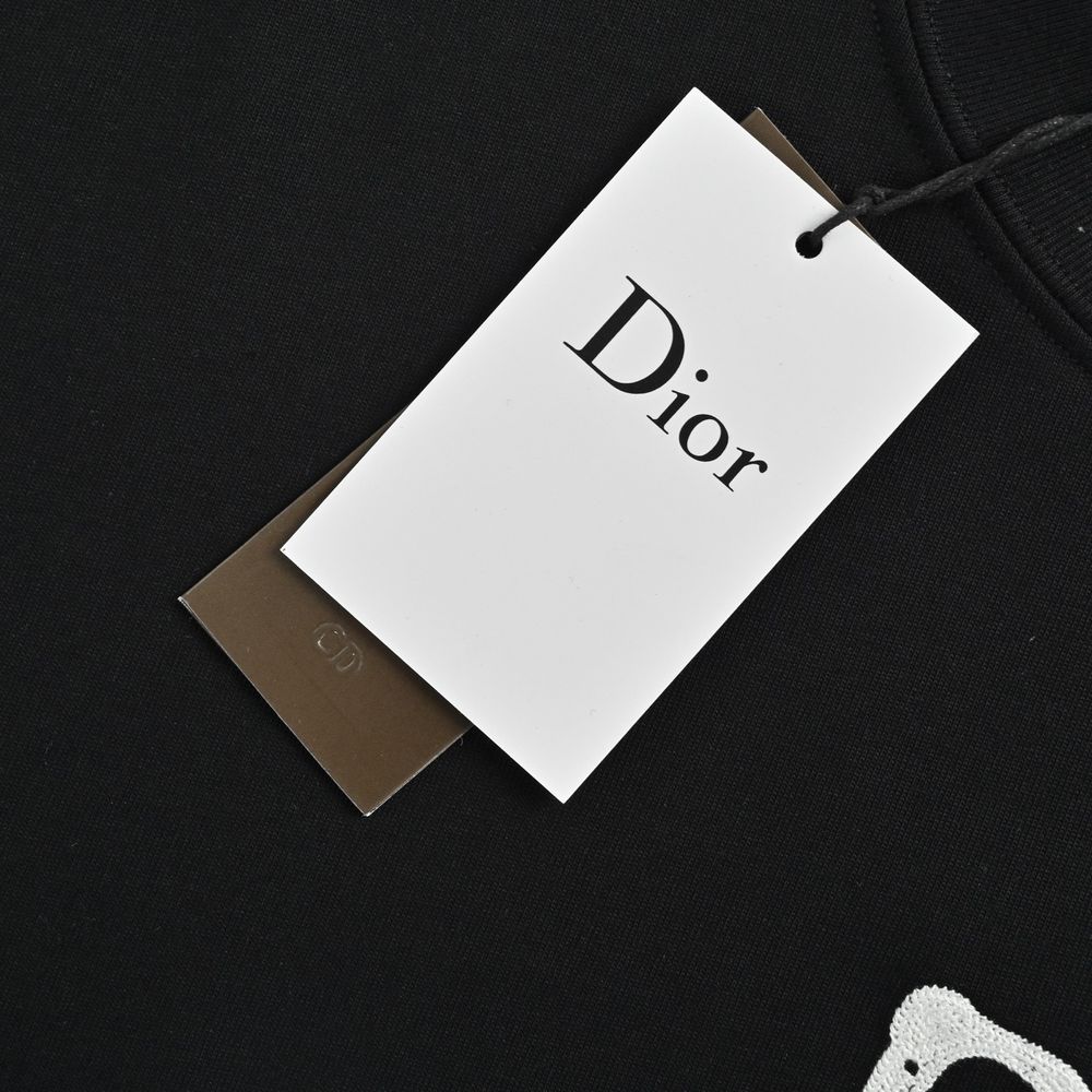 Dior T-shirts-344