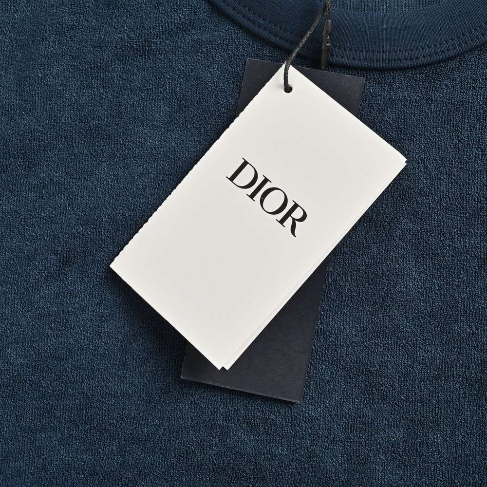 Dior T-shirts-313