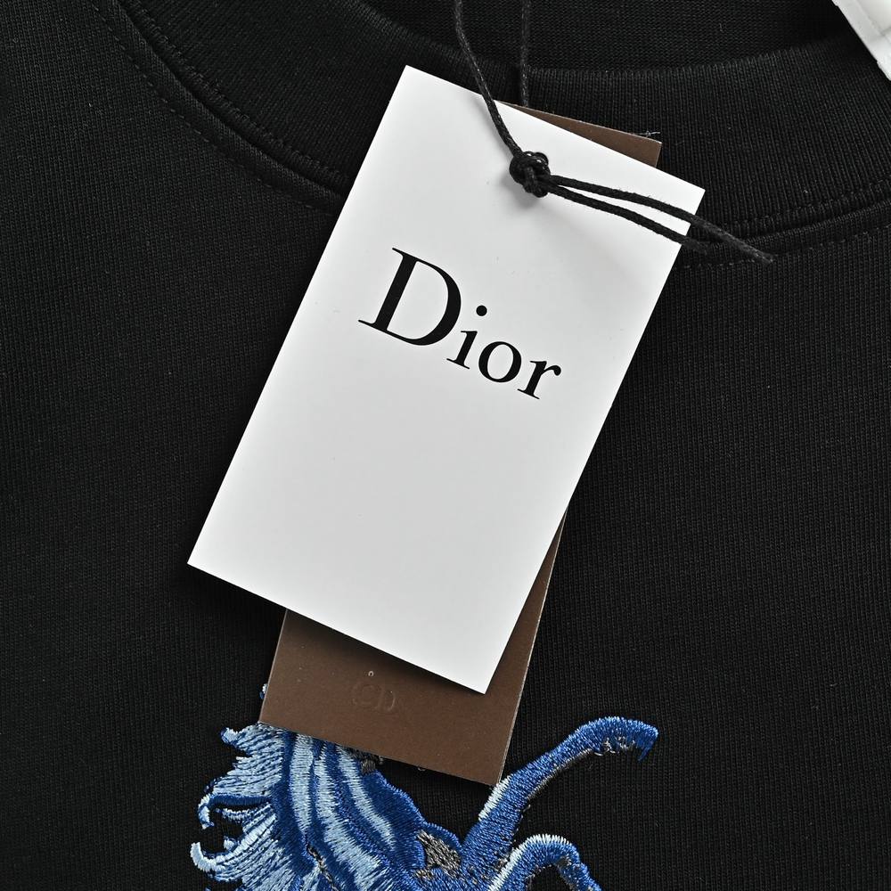 Dior T-shirts-433