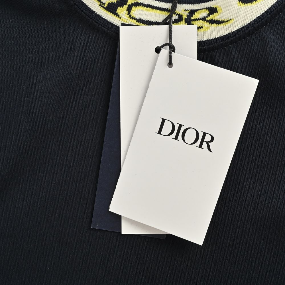 Dior T-shirts-317