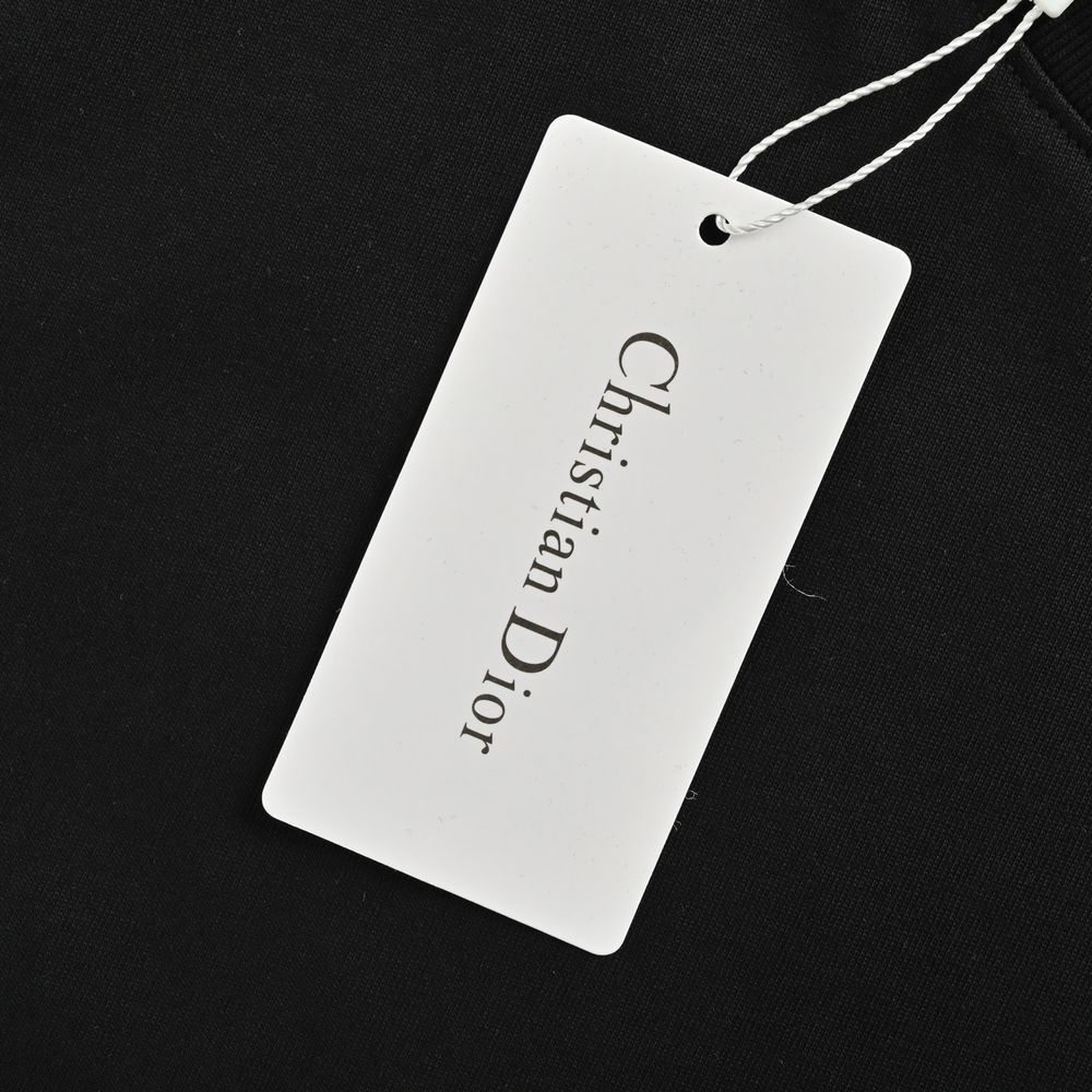 Dior T-shirts-308