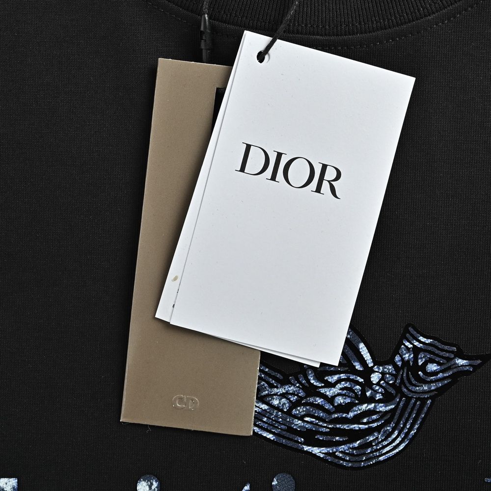 Dior T-shirts-379