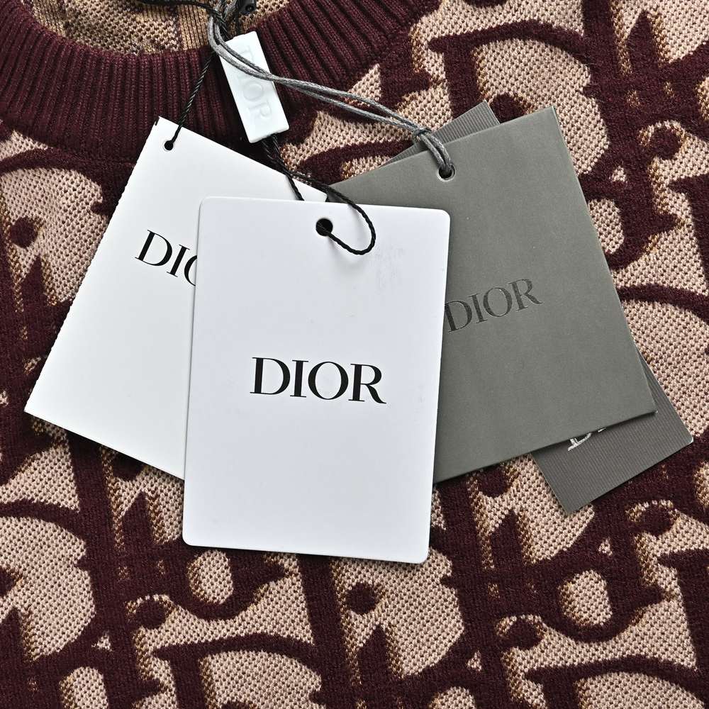 Dior Sweater-273