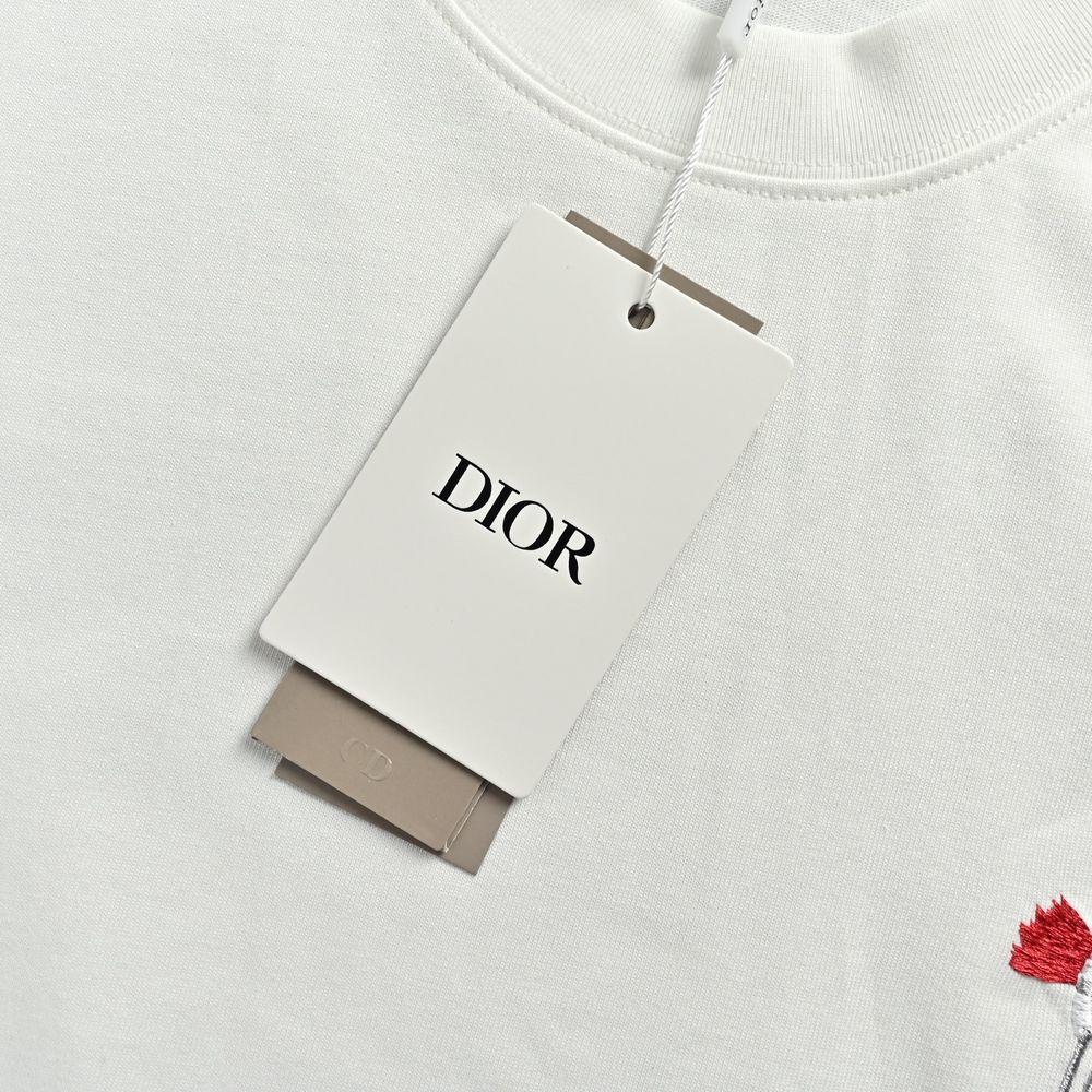 Dior T-shirts-418