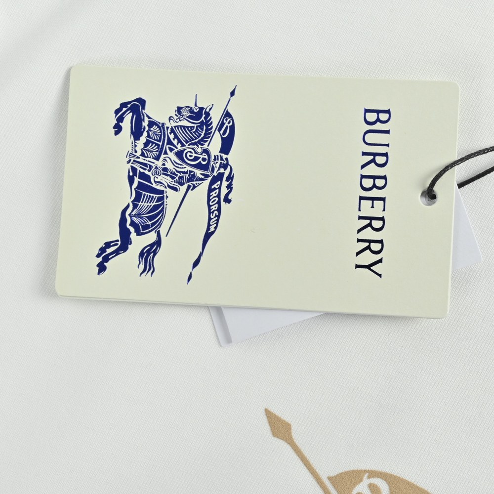 Burberry T-shirts-1312