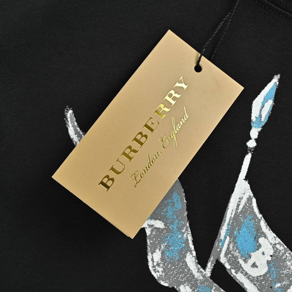 Burberry T-shirts-1295