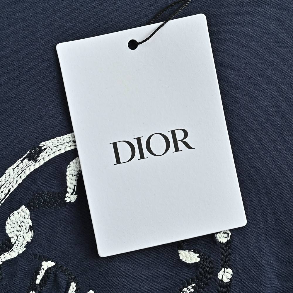 Dior T-shirts-381