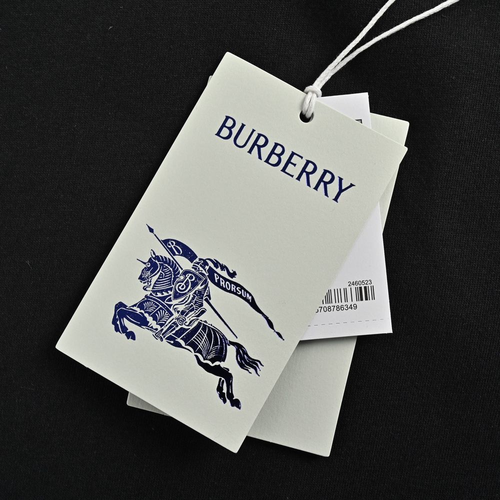 Burberry T-shirts-1283